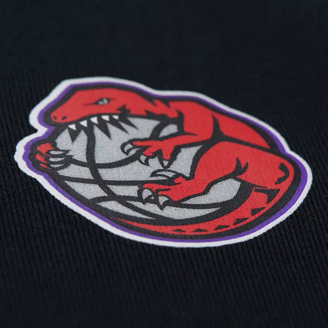 Mitchell Ness T