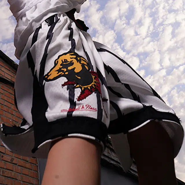 Mitchell Ness x .PAC