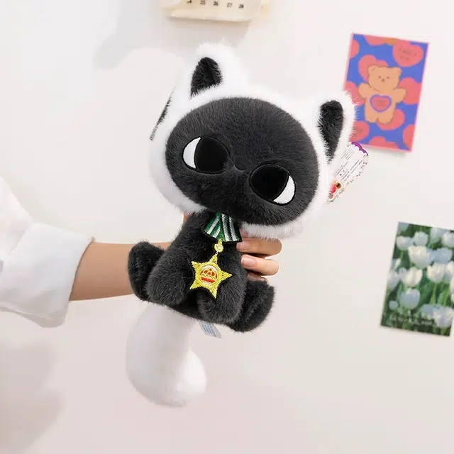 25cm34cm