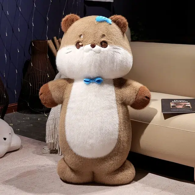 60cm80cm100cm
