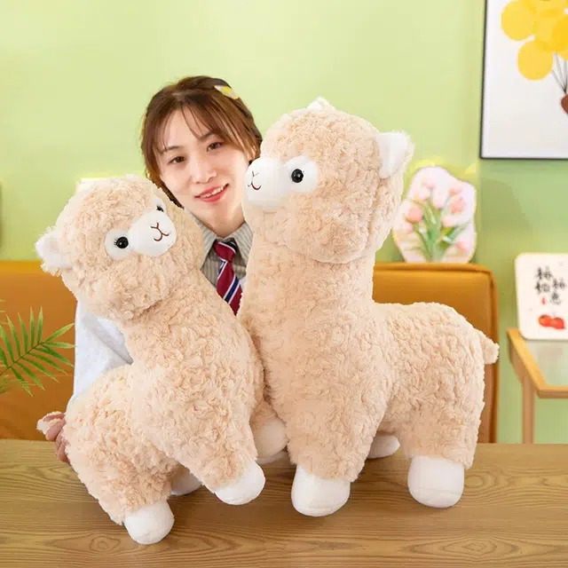 35cm45cm55cm