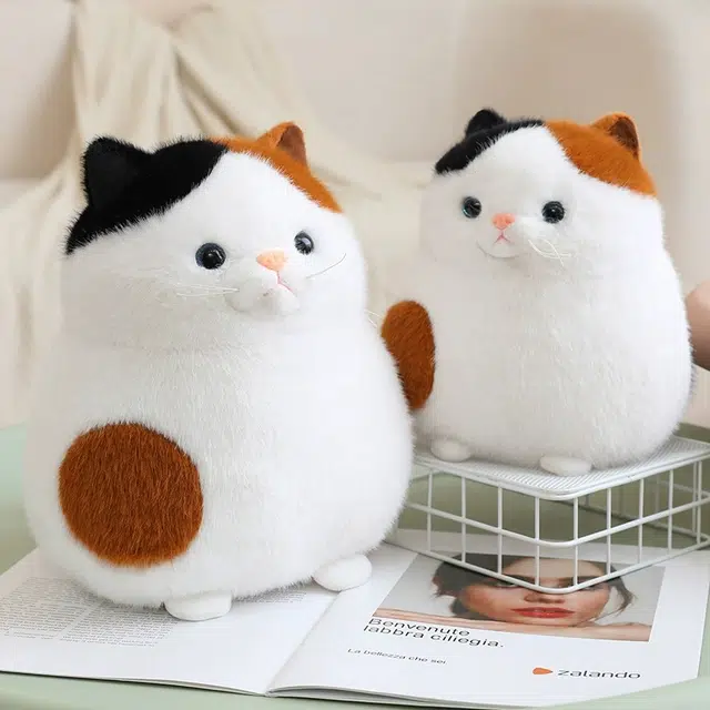 23cm30cm35cm