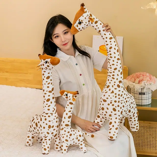 40cm67cm100cm
