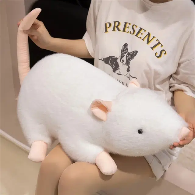 30cm50cm70cm100cm