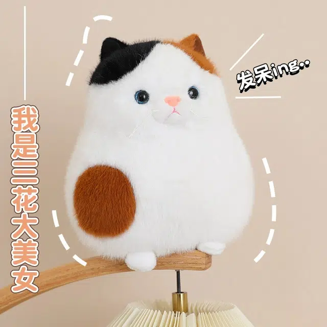 23cm30cm35cm