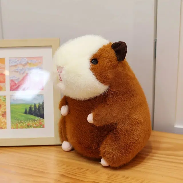 25cm40cm50cm