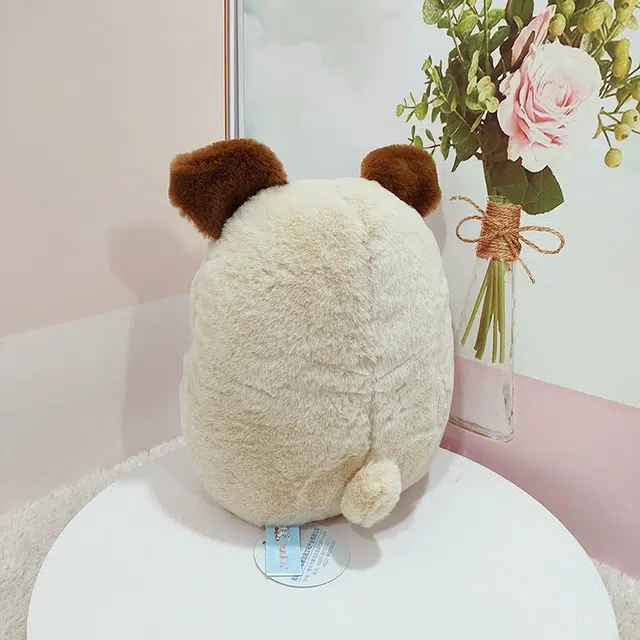 25cm37cm