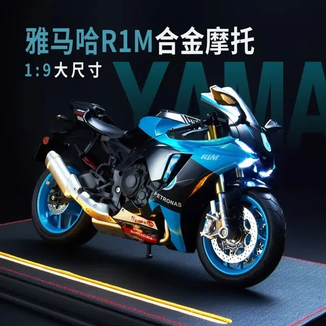 19R1M