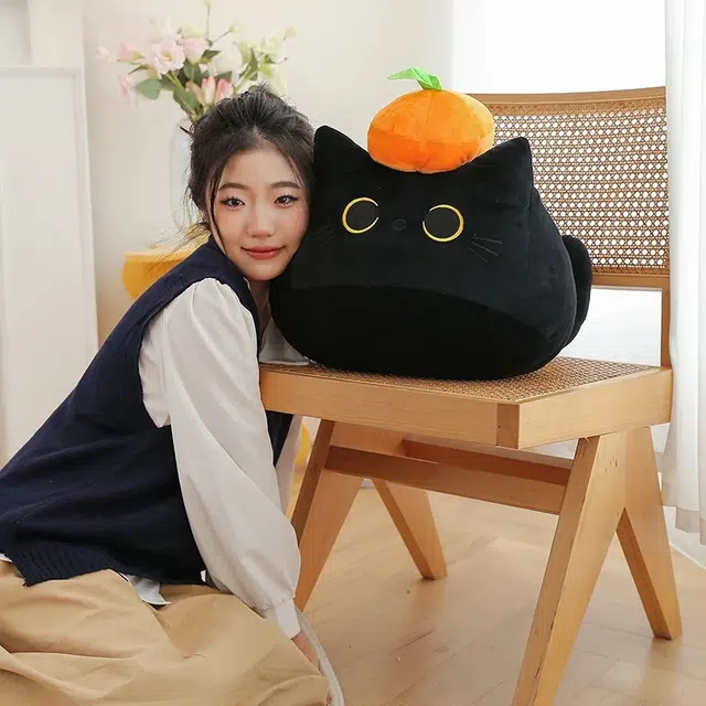 40cm55cm