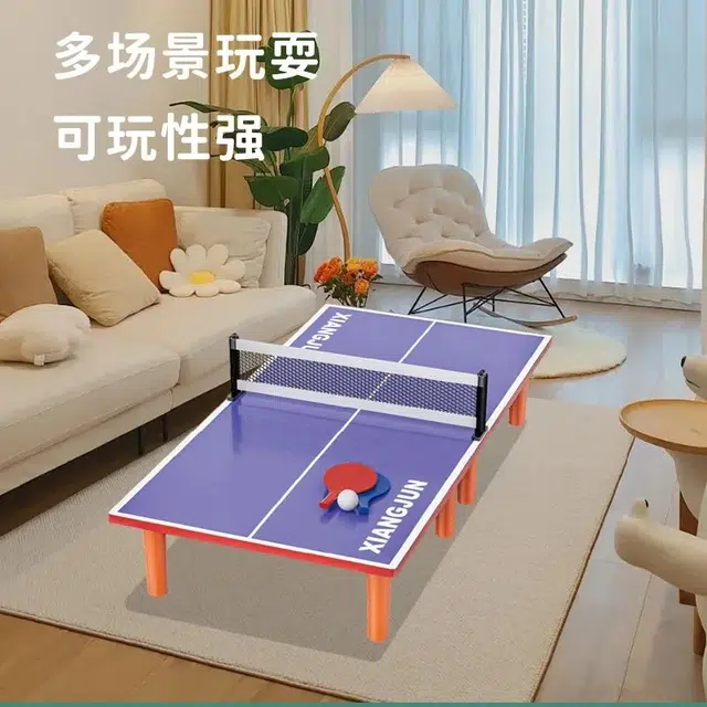 喜顽童 儿童小型家用桌上乒乓球台迷你桌折叠式室内家庭亲子娱乐互动玩具 其他桌游