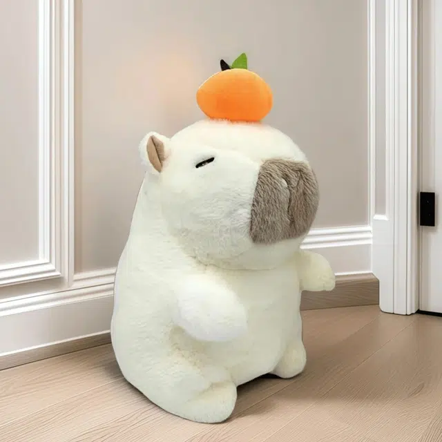 25cm