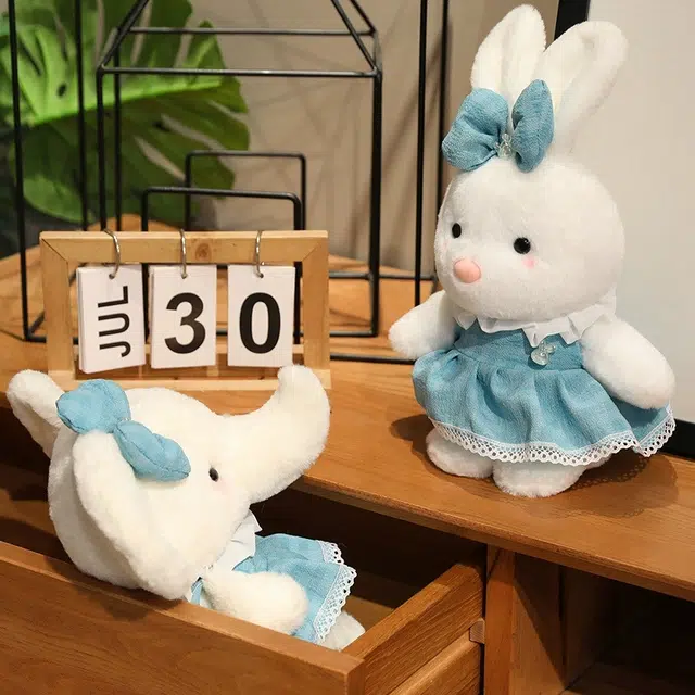 25cm