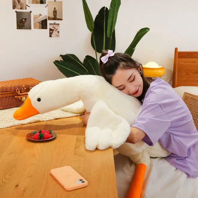 50cm90cm130cm160cm