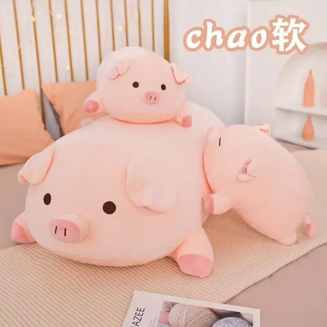 40cm50cm60cm80cm