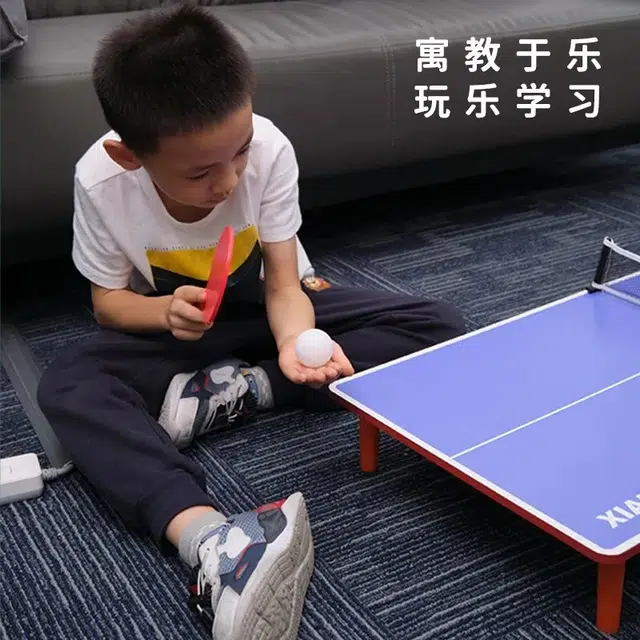 喜顽童 儿童小型家用桌上乒乓球台迷你桌折叠式室内家庭亲子娱乐互动玩具 其他桌游