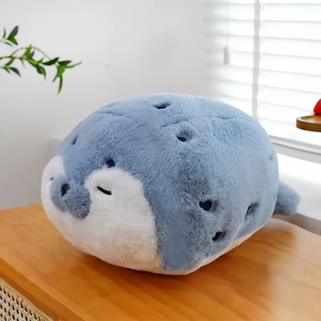 40cm65cm