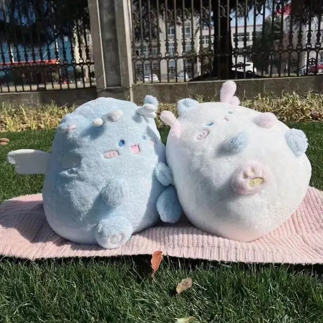 30cm40cm50cm