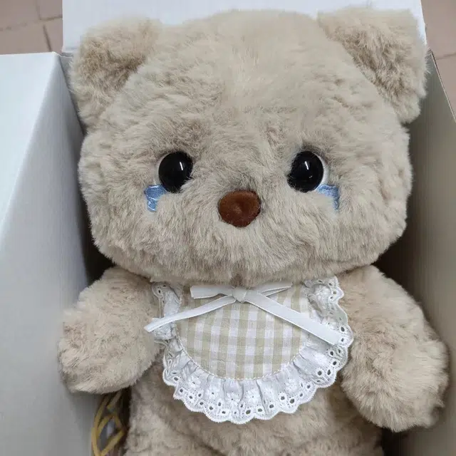 25cm