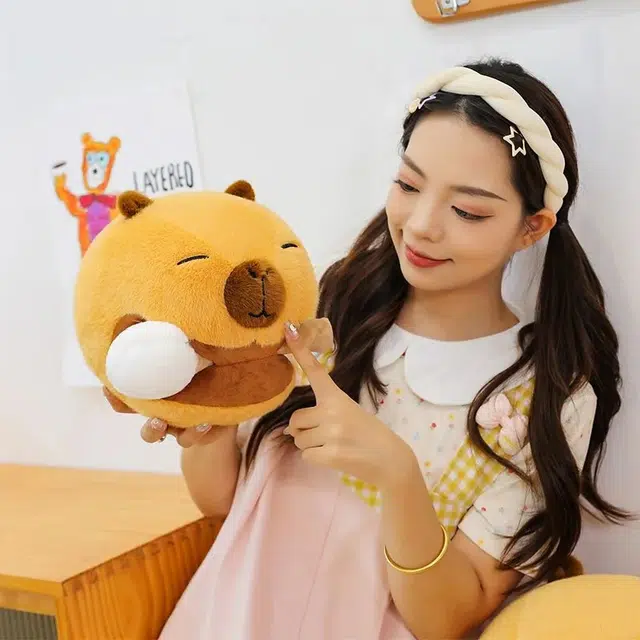 25cm40cm