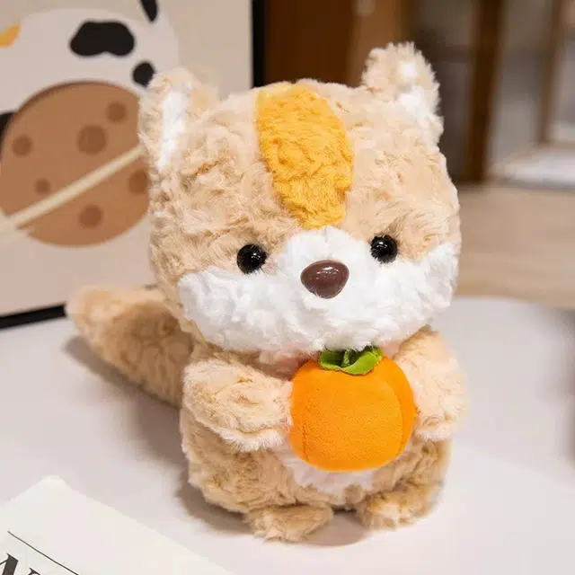 25cm