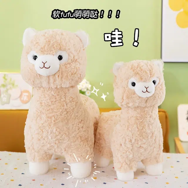 35cm45cm55cm