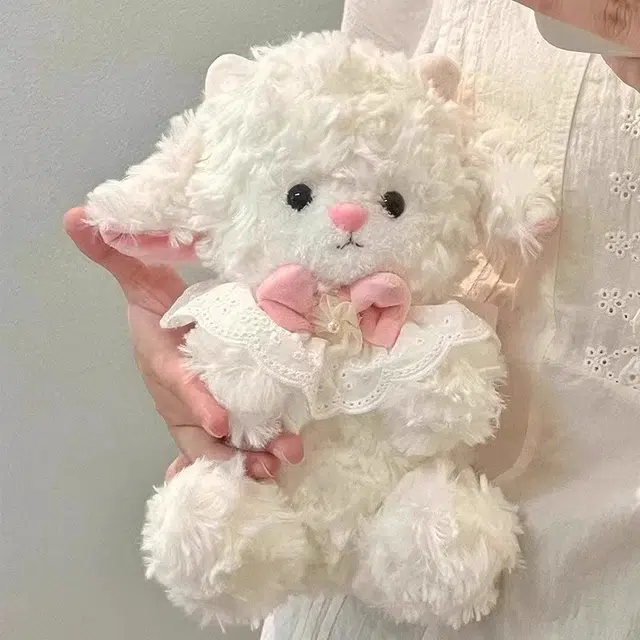 25cm