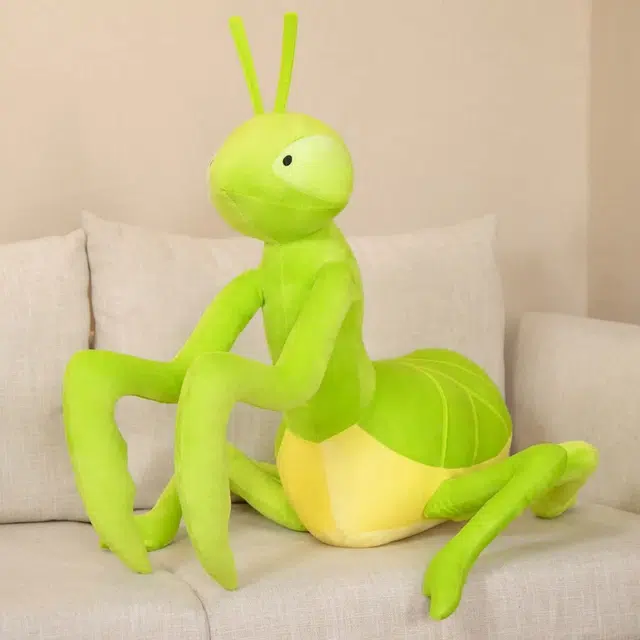 70cm