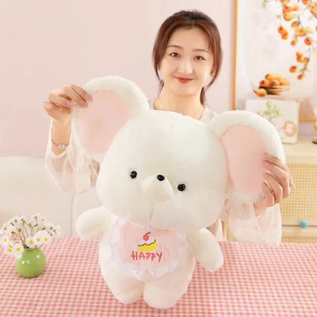 30cm50cm