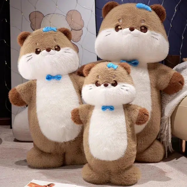 60cm80cm100cm