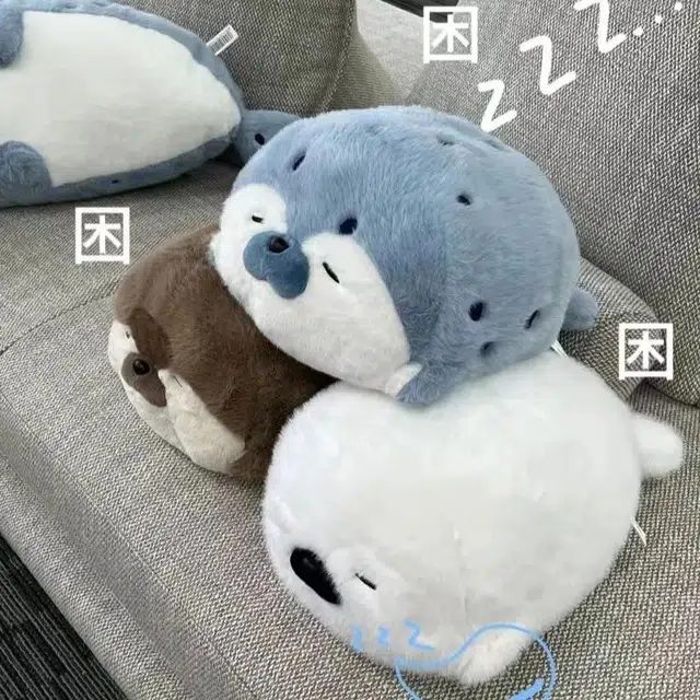 40cm65cm