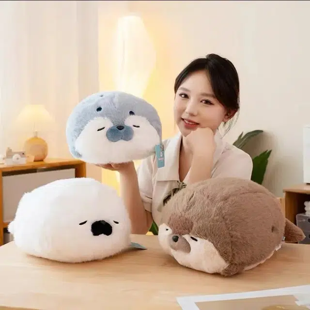 40cm65cm