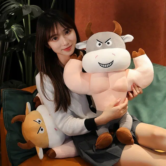 36cm56cm