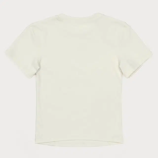 SMFK Compass Wave T