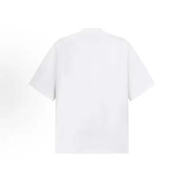 WELTER EXPERIMENT T