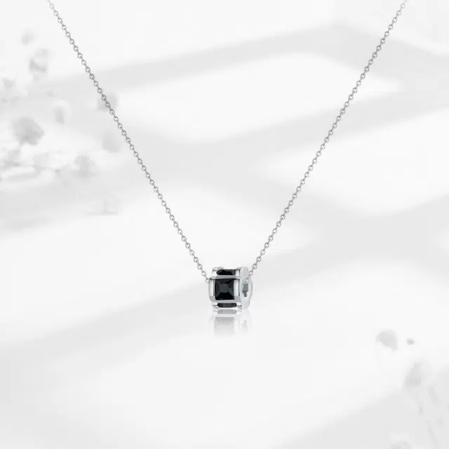 SEEPD S925