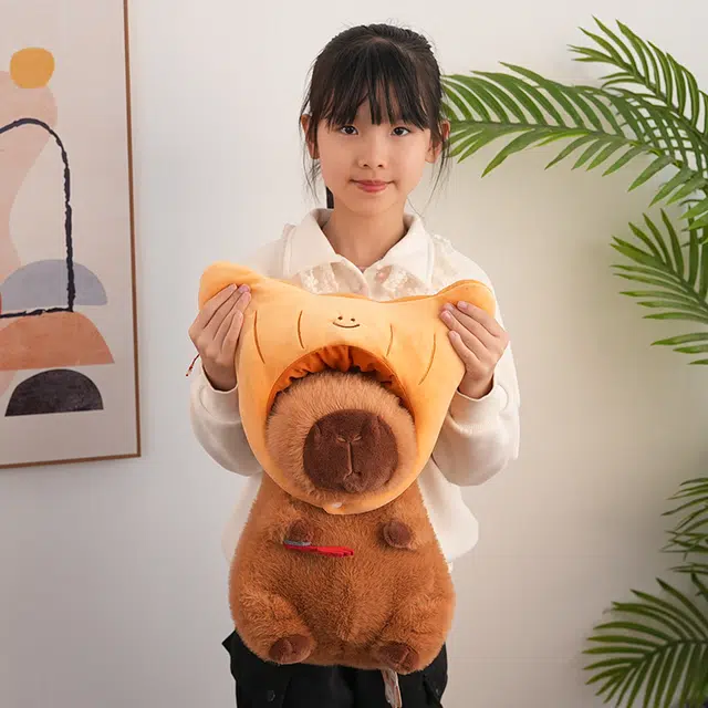 22cm33cm