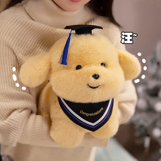 23cm33cm