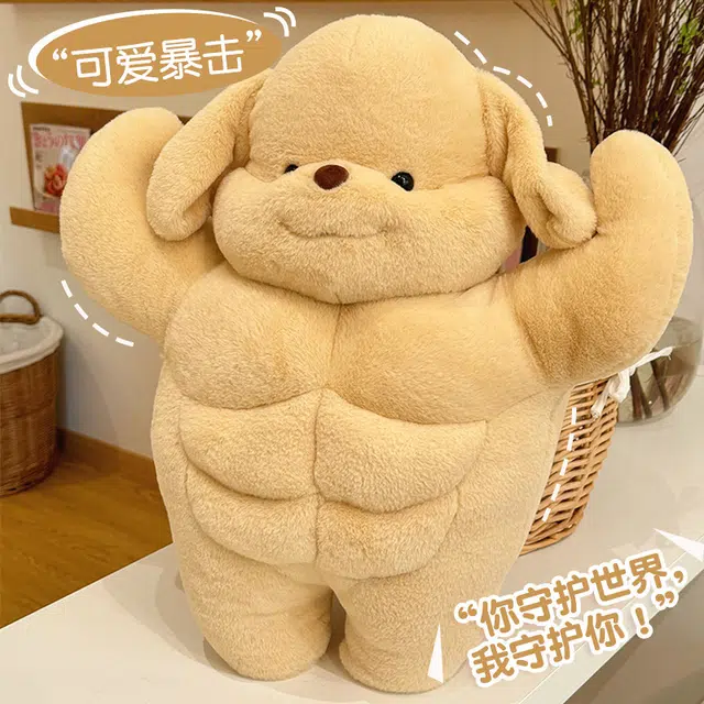 50cm