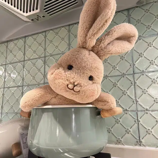 30cm40cm