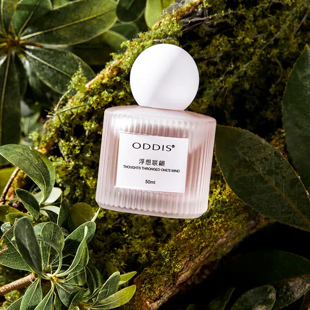 ODDIS EDP 50ml