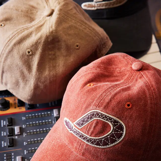 Dickies Logo