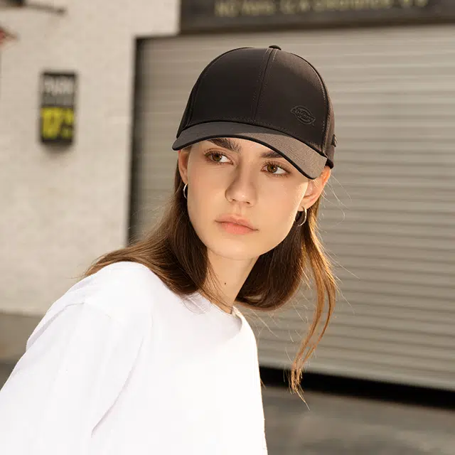 Dickies logo