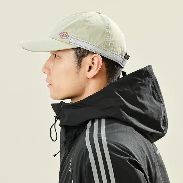 Dickies LOGO