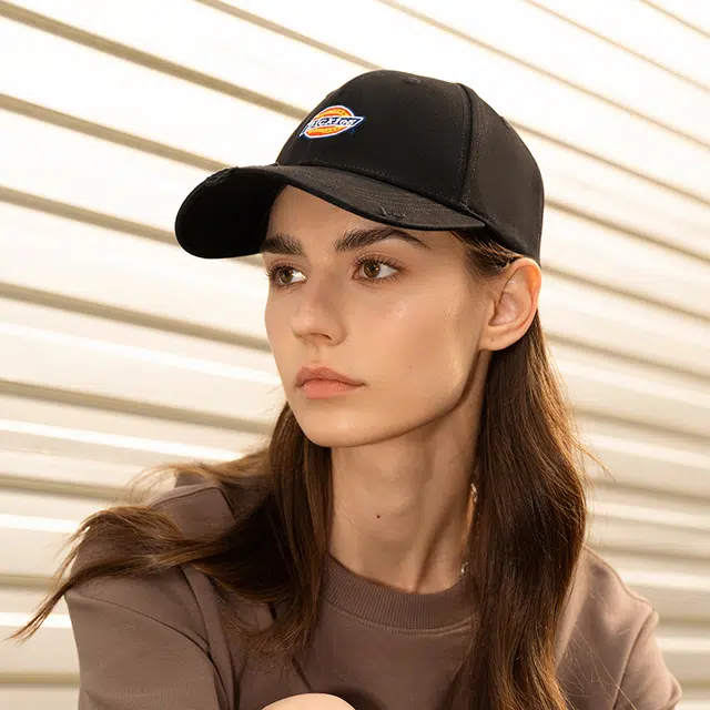 Dickies logo