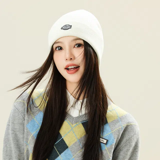 Dickies LOGO