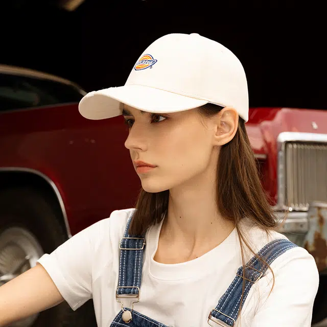 Dickies logo