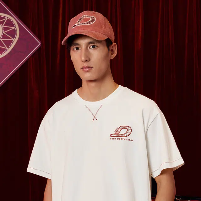 Dickies Logo