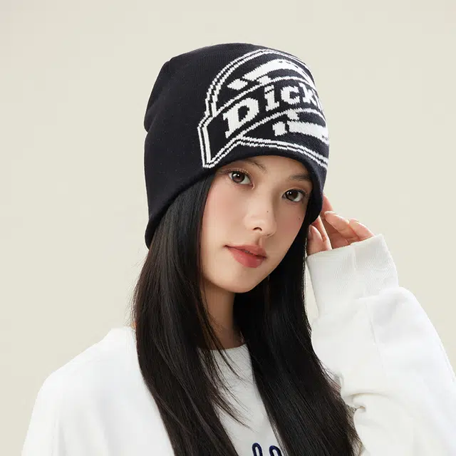 Dickies Beanie
