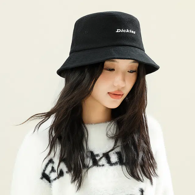Dickies LOGO