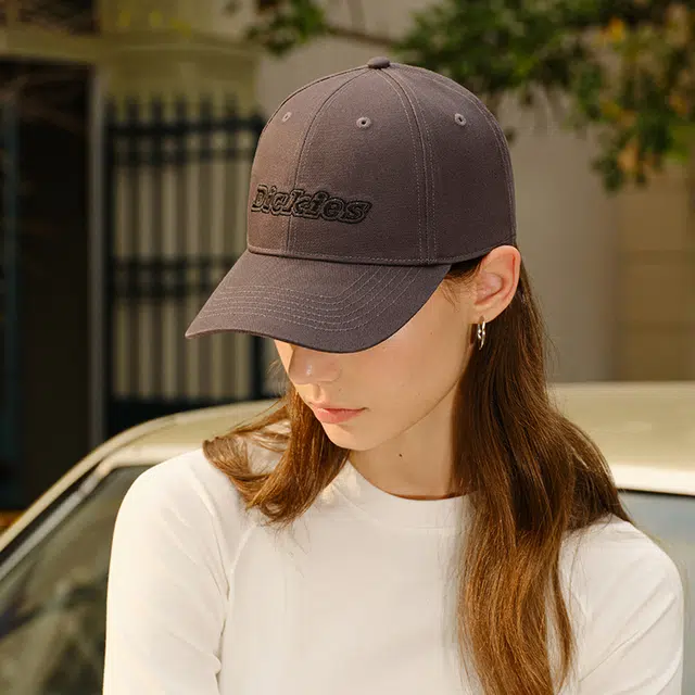 Dickies logo